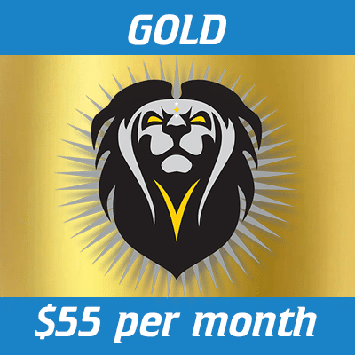 Strong Bodies Performance Gold Membership